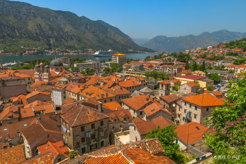 Kotor