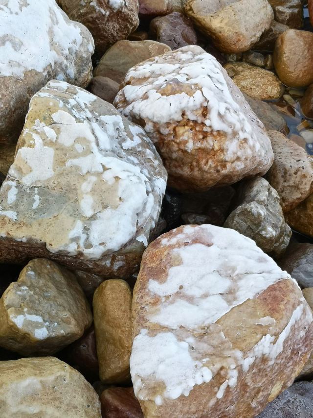 死海