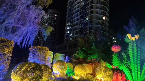 Culture Park
