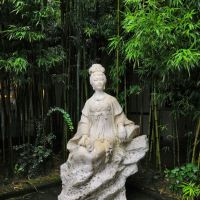 評論圖片 4