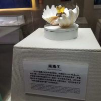 評論圖片 5