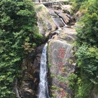 評論圖片 8