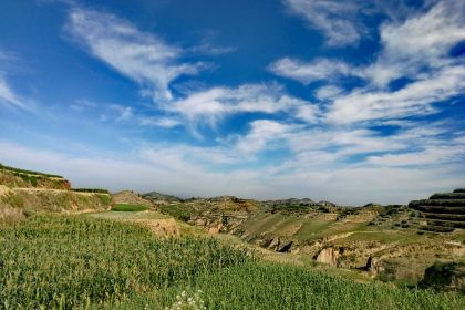 BI SHENG KE BAO DA DIAN