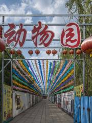 Linfen Zoo （Side Gate）