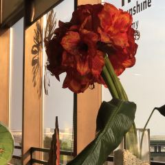 珠海萬悅飯店·金廚泰國餐廳張用戶圖片