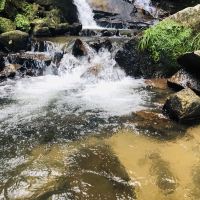 評論圖片 4