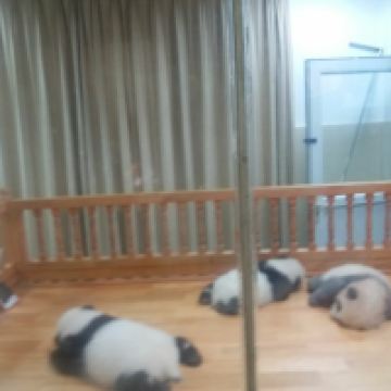 評論圖片 1