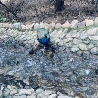評論圖片 8