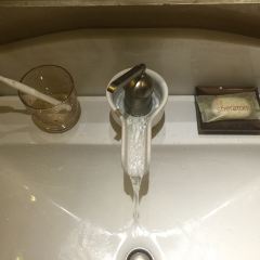 清远狮子湖喜来登度假酒店·大堂吧 User Photo
