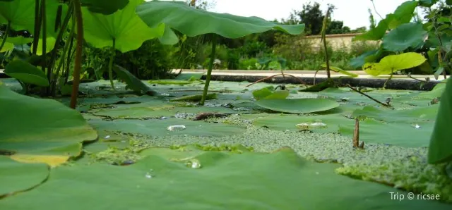 Everything you need to know about Miami zoo