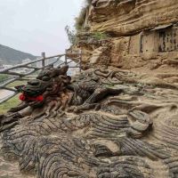 評論圖片 6