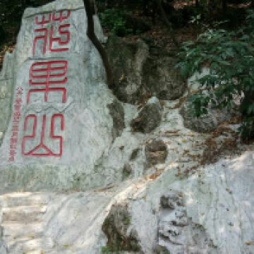 評論圖片 5