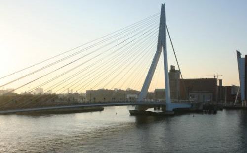 鹿特丹的重要的一个跨海大桥了，这座大桥建造的时间历史挺短的，