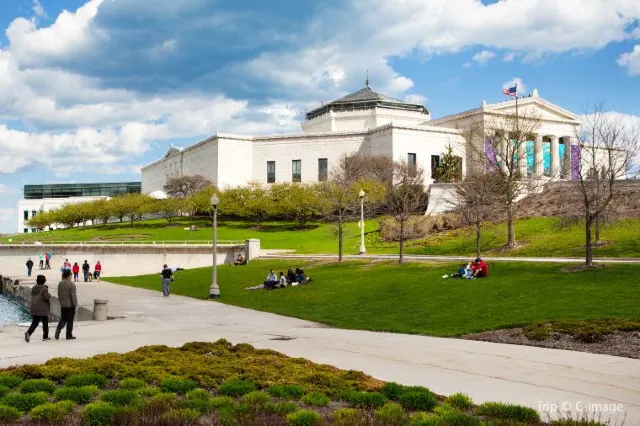 10 Tips to Help You Plan a Fantastic Trip to Shedd Aquarium, Chicago