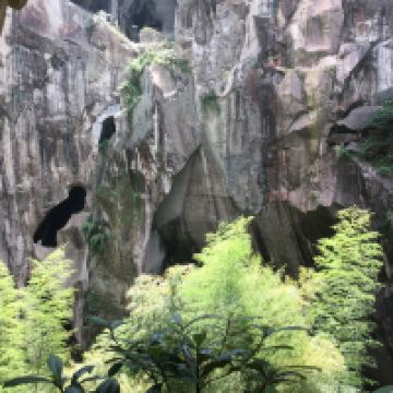 評論圖片 7