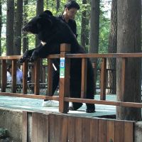 評論圖片 4