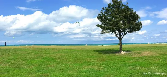 30 Fun Things to Do in Chicago for New Year 2026 