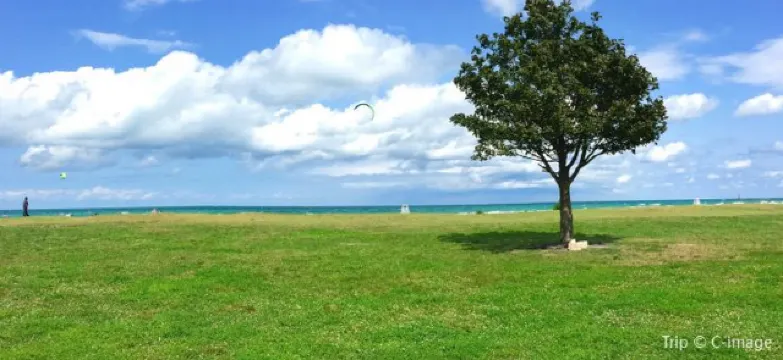 30 Fun Things to Do in Chicago for New Year 2026