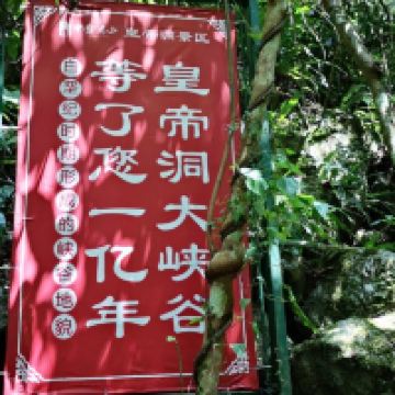 評論圖片 5