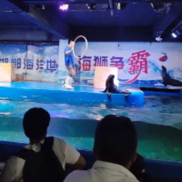 評論圖片 1