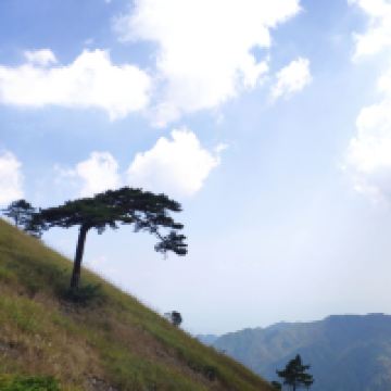 評論圖片 4