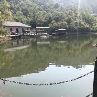 評論圖片 4