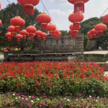 評論圖片 6
