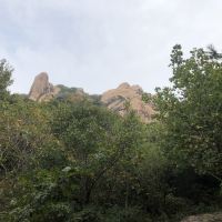 評論圖片 7