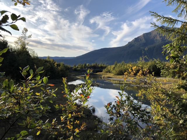 Mendenhall Glacier, mendenhall 冰川公園
