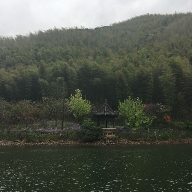 Nanshan Bamboo Sea
