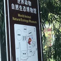 評論圖片 4