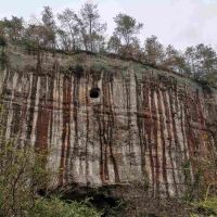評論圖片 5