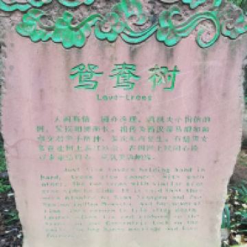 評論圖片 5
