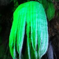 評論圖片 5