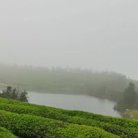 評論圖片 3