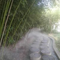 評論圖片 1