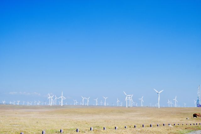 風力發電廠