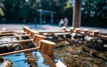 Ise Grand Shrine