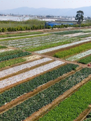 Yongchunquan Yiliang Farm