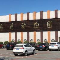 評論圖片 2