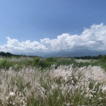 評論圖片 5