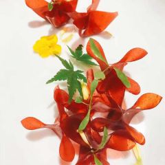 LI'AN User Photo