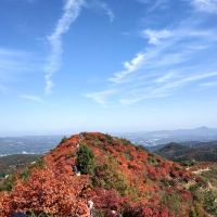 評論圖片 7