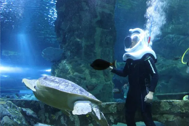 10 Best Things to do in Scenic Island Jeju Korea