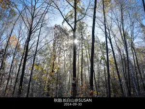 West Slope of Changbai Mountain Scenic Area