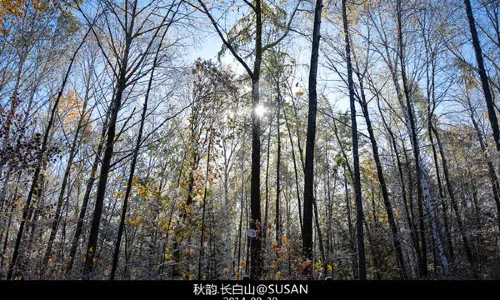 West Slope of Changbai Mountain Scenic Area