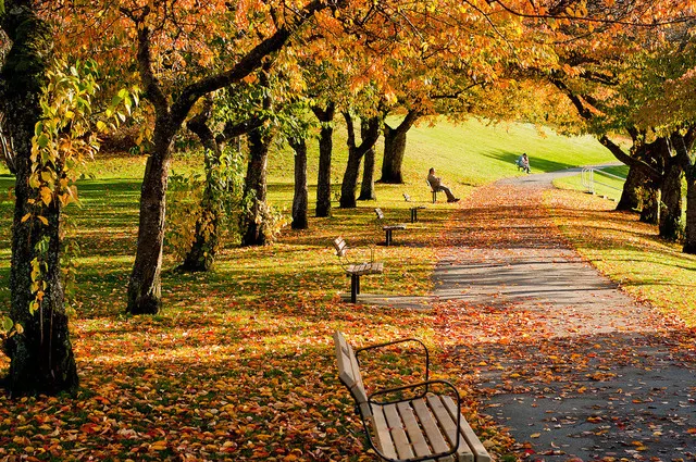 Vancouver’s 9 Top Spots to Get Fresh Air!
