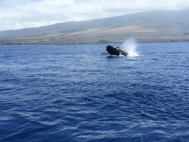 Six small towns in Hawaii