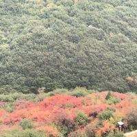 評論圖片 9