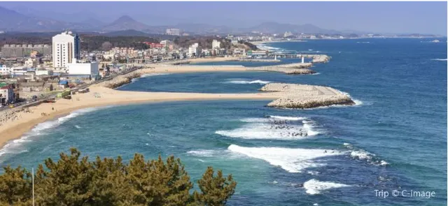 The Ultimate Guide to Sokcho-si You Need to Know